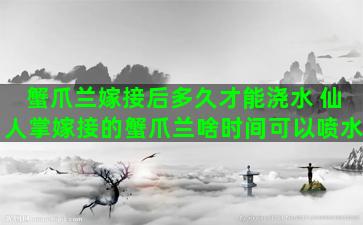 蟹爪兰嫁接后多久才能浇水 仙人掌嫁接的蟹爪兰啥时间可以喷水